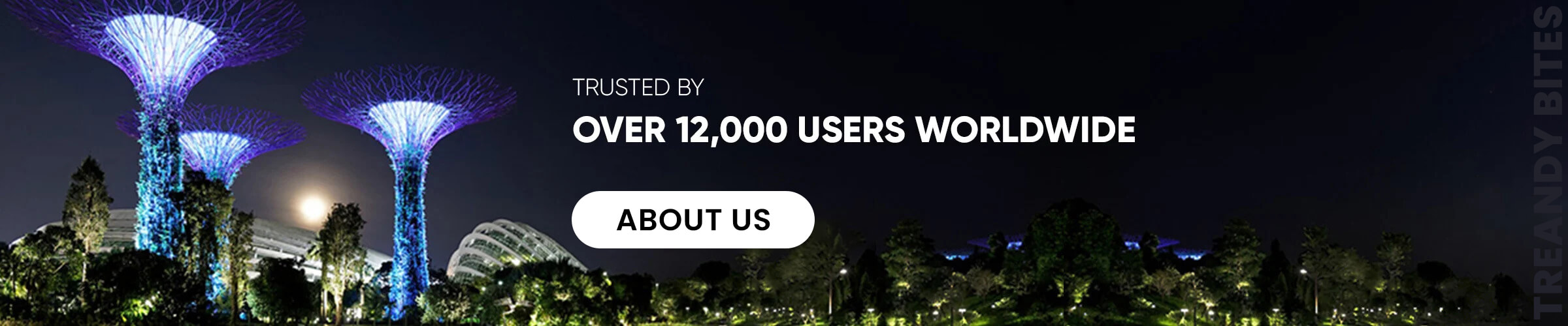 wordwide users