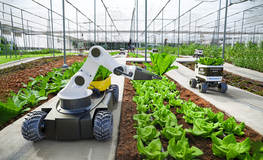 AI in Agriculture: Feeding the Future AI in Agriculture
